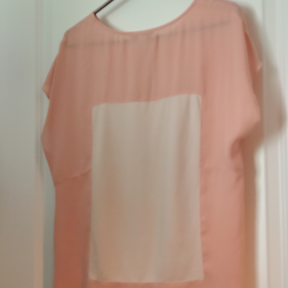 Shear pink blouse sz Large - Picture 2 of 3